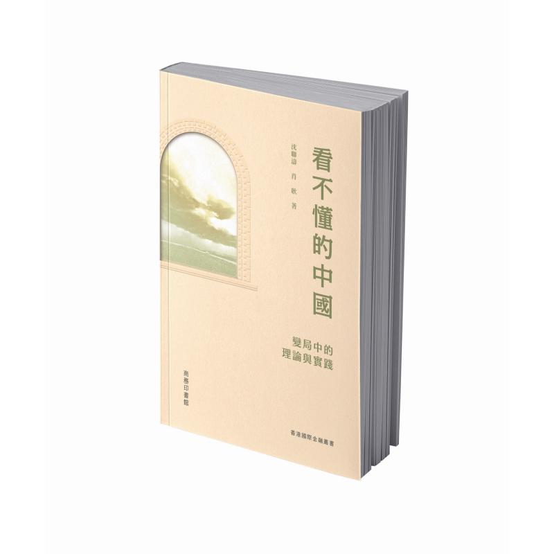 看不懂的中国 变局中的理论与实践 港台原版 沈联涛 肖耿 香港商务印书馆【中商原版】