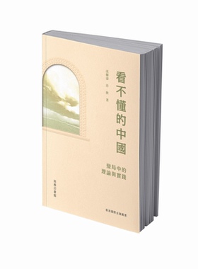 看不懂的中国 变局中的理论与实践 港台原版 沈联涛 肖耿 香港商务印书馆【中商原版】