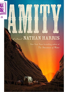 预售 和睦 布克奖提名作家内森哈里斯 奴隶制史诗 Amity A Novel 英文原版 Nathan Harris【中商原版】