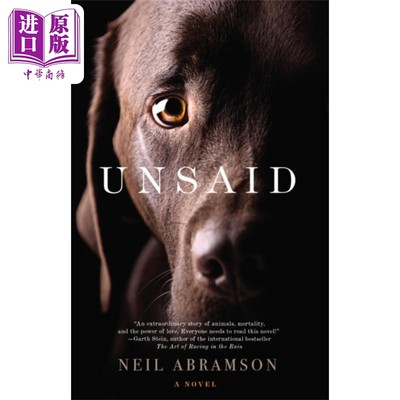 预售 没有说出的话 Unsaid 英文原版 Neil Abramson 今日美国的畅销书 世界现当代文学 国际流行小说 救赎【中商原版】