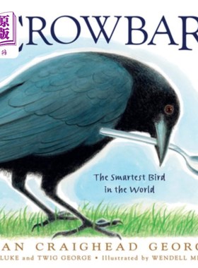 海外直订Crowbar: The Smartest Bird in the World 撬棍:世界上最聪明的鸟