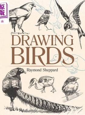 Drawing Birds 进口艺术 绘画鸟 Dover【中商原版】