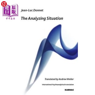 海外直订Analyzing Situation 分析情况