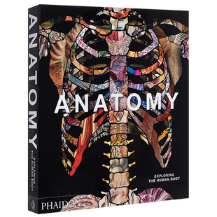 预售 Anatomy: Exploring the Human Body 进口艺术 解剖学：探索人体 Phaidon 【中商原版】