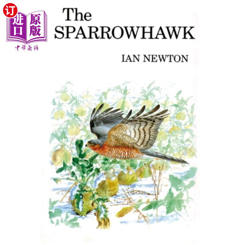 海外直订Sparrowhawk 雀鹰