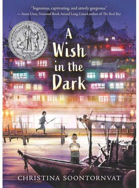 A Wish in the Dark 纽伯瑞 黑暗中的愿望 2021纽伯瑞银奖 儿童文学 悬疑探险 文学 720L光明与正义 平装 【中商原版】