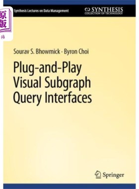 海外直订Plug-and-Play Visual Subgraph Query Interfaces 即插即用的可视化子图查询接口