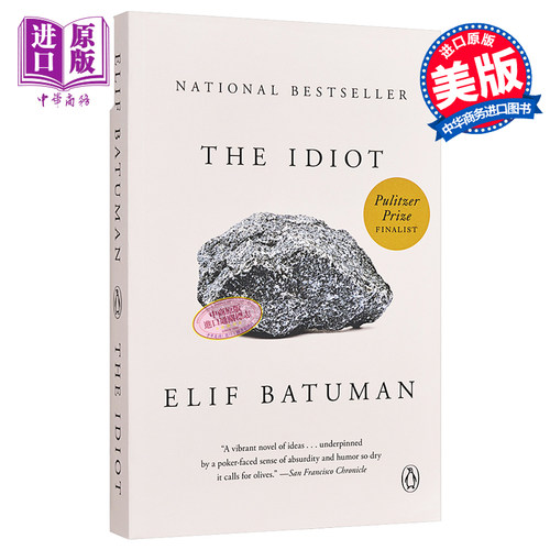 白痴 2018年普利策小说奖入围 英文原版 The Idiot 现代小说 Elif Batuman【中商原版】