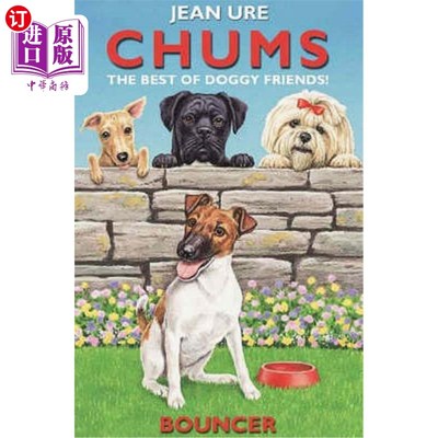 海外直订Bouncer 保镖