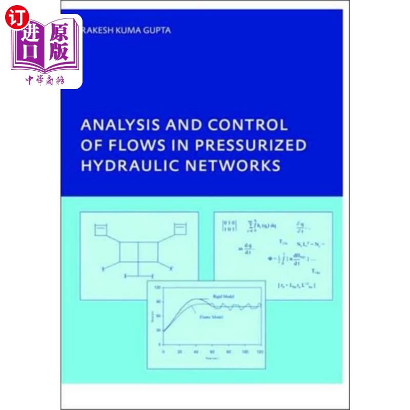 海外直订Analysis and Control of Flows in Pressurized Hyd... 有压液压管网的流量分析与控制 书籍/杂志/报纸 原版其它 原图主图