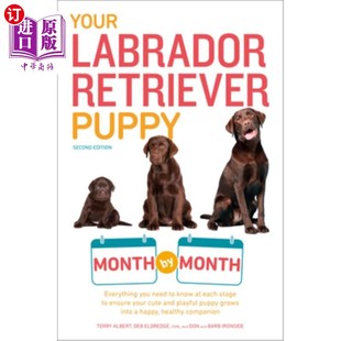 You Retriever 拉布拉多寻回犬幼犬每月 Edition Need 你 Labrador 2nd Everything Your 中商原 Puppy Month