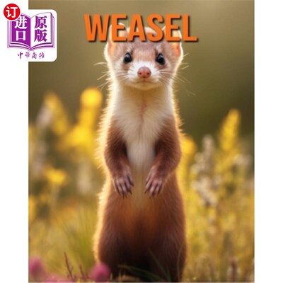海外直订Weasel: Fun Facts Book for Kids with Amazing Photos 黄鼠狼:有趣的事实书与惊人的照片的孩子