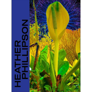 现货 Heather Phillipson 进口艺术 希瑟 菲利普森【中商原版】