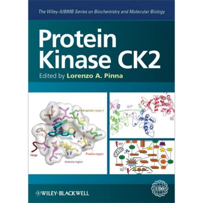 现货蛋白激酶丛书英文原版