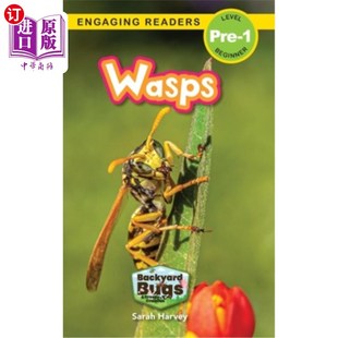 Creepy Readers Backyard and 后院 吸引读者 海外直订Wasps 黄蜂 Crawlies Bugs Pre Level Engaging 虫子和爬行动物
