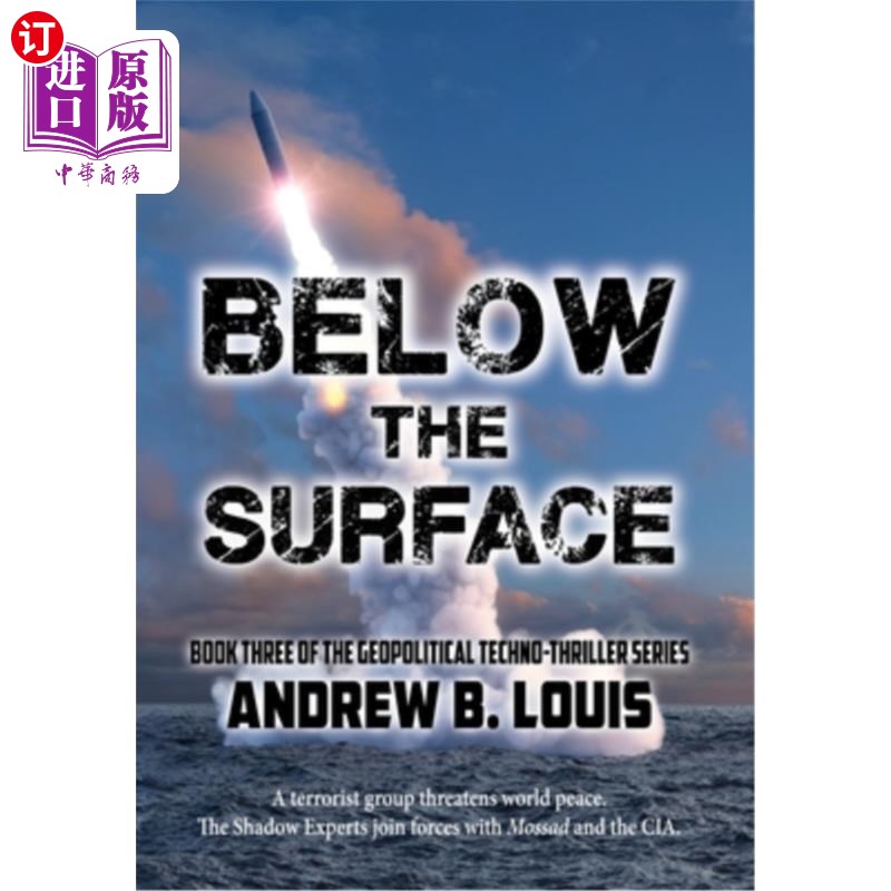 海外直订Below the Surface 表面之下