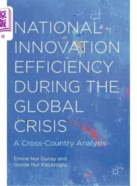 海外直订National Innovation Efficiency During the Global Crisis: A Cross-Country Analysi 全球危机中的国家创新效率：