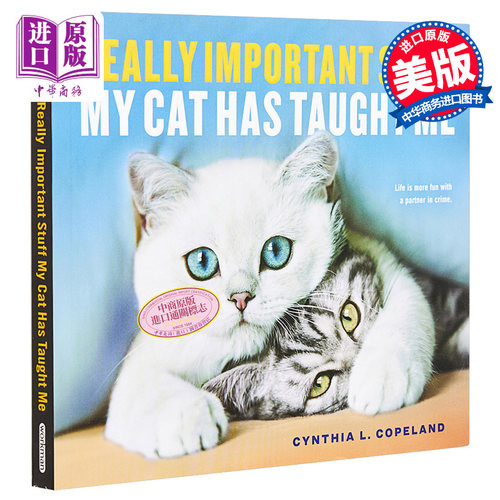 猫教会我的那些重要事情 英文原版 Really Important Stuff My Cat Has Taught Me【中商原版】