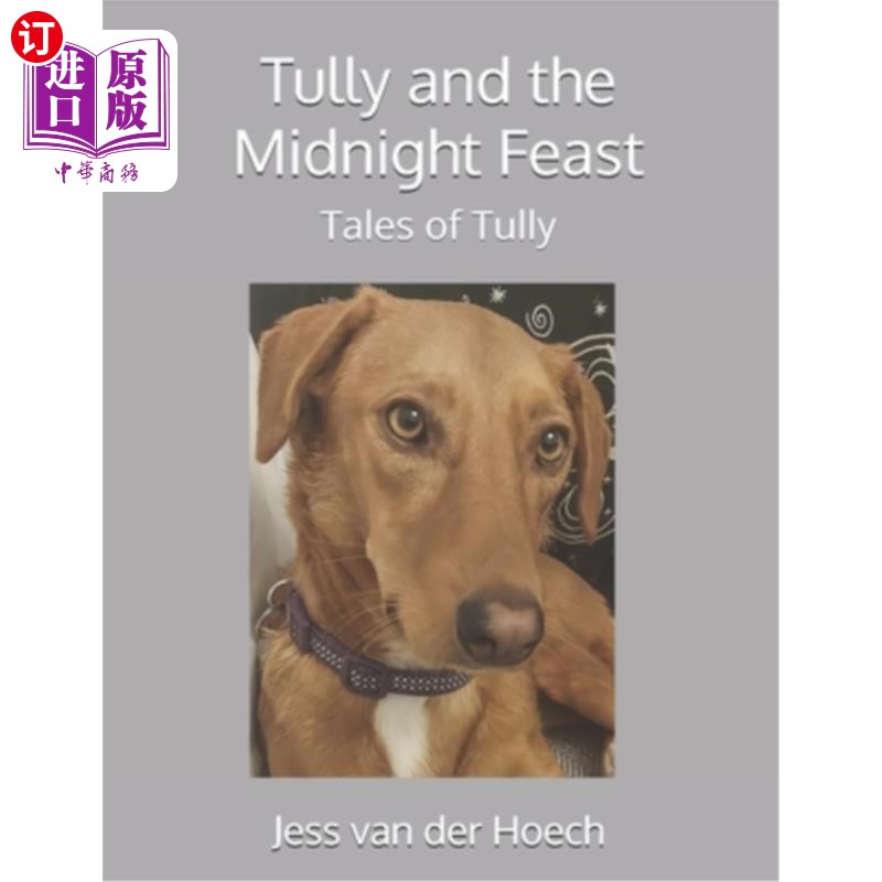 海外直订Tully and the Midnight Feast 徒利与午夜盛宴