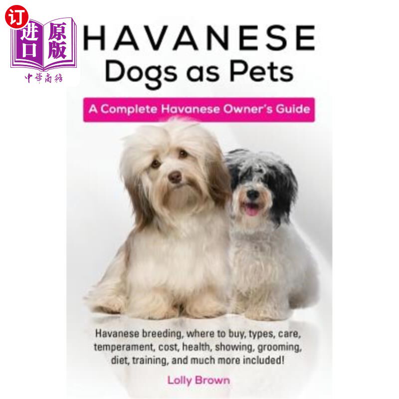 breeding, where to buy, types, care, temperament 哈瓦那犬类宠物