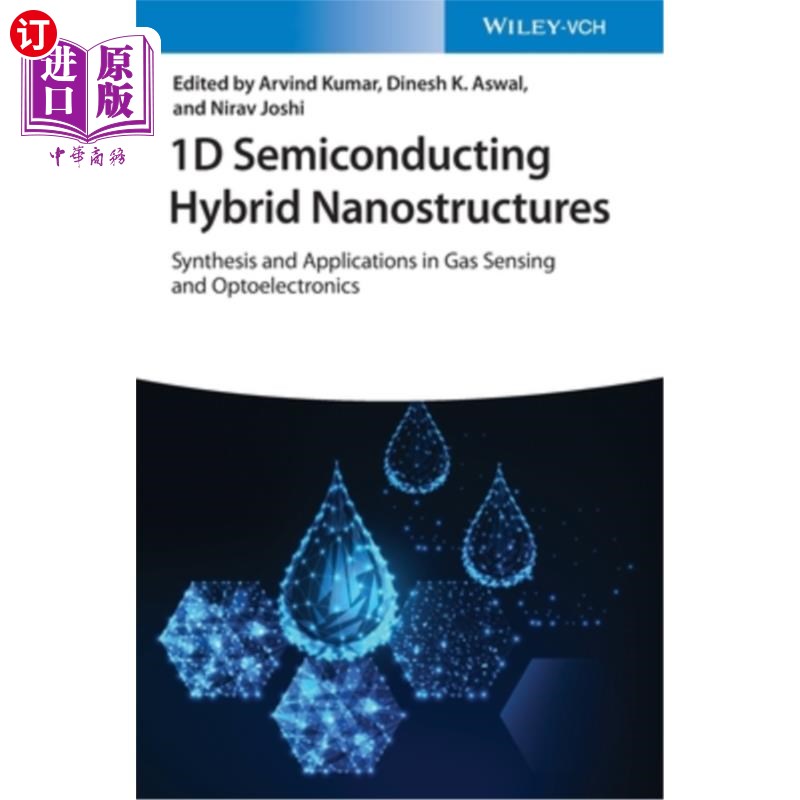 海外直订1d Semiconducting Hybrid Nanostructures: Synthesis and Applications in Gas Sensi 半导体杂化纳米结构的合成及