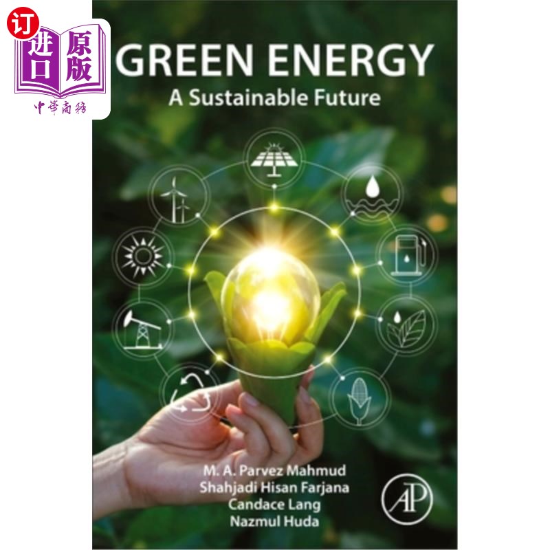 海外直订Green Energy: A Sustainable Future 绿色能源:可持续的未来 书籍/杂志/报纸 科学技术类原版书 原图主图