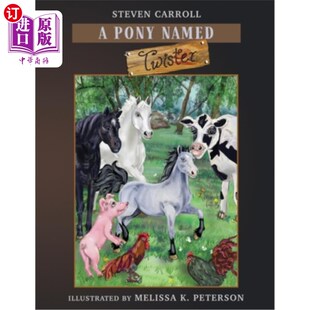 Twister Big Dreams 海外直订A 小马 Named 一匹名叫龙卷风 大梦想 Pony