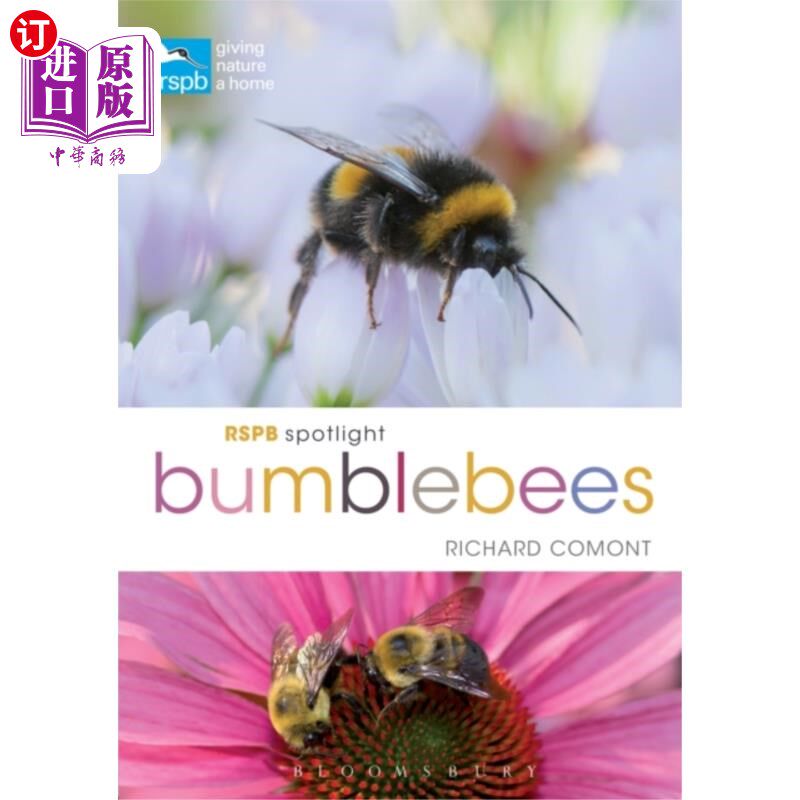 海外直订RSPB Spotlight Bumblebees RSPB聚光灯大黄蜂