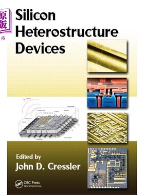 海外直订Silicon Heterostructure Devices 硅异质结器件