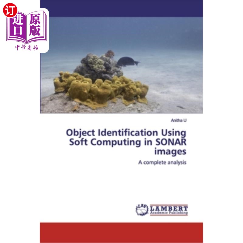 海外直订Object Identification Using Soft Computing in SONAR images基于软计算的声纳图像目标识别