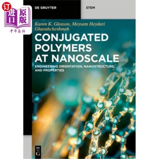 Nanoscale 海外直订Conjugated Polymers