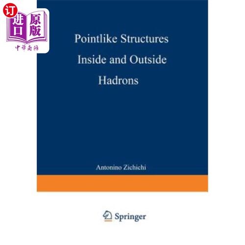 海外直订Pointlike Structures Inside and Outside Hadrons 强子内外的点状结构
