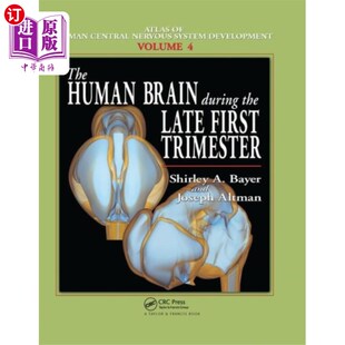 海外直订医药图书Human Brain During the Late First Trimester 早期妊娠晚期的人类大脑