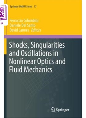 海外直订Shocks, Singularities and Oscillations in Nonlinear Optics and Fluid Mechanics 非线性光学与流体力学中的冲击