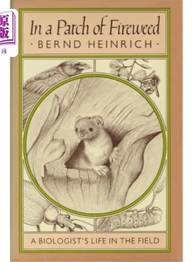 海外直订In a Patch of Fireweed: A Biologist's Life in the Field 《在一片火杂草中:一位生物学家的野外生活