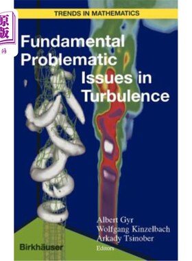 海外直订Fundamental Problematic Issues in Turbulence