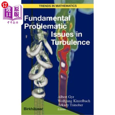 海外直订Fundamental Problematic Issues in Turbulence