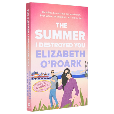 我摧毁你的那个夏天 The Summer I Destroyed You 英文原版 Elizabeth O Roark 国际流行小说 爱情小说【中商原版】