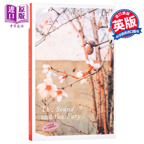喧哗与骚动 英文原版【中商原版】The Sound and the Fury 豆瓣阅读 福克纳 经典小说 美国文学 意识流 诺贝尔 William Faulk