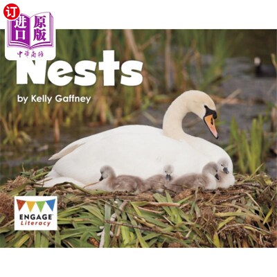 海外直订Nests 巢穴