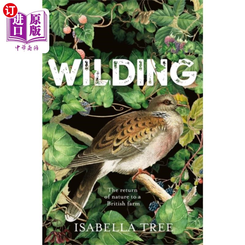 海外直订Wilding 野生的
