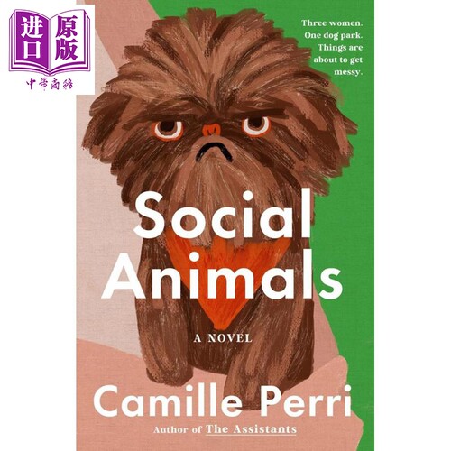 社会动物 英文原版 Social Animals Camille Perri 现当代文学 助理们 凯蒂遇见卡西迪作者【中商原版】