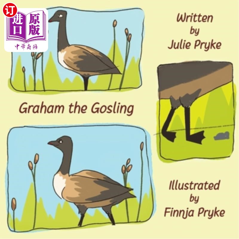 海外直订Graham the Gosling 格雷厄姆的高斯林