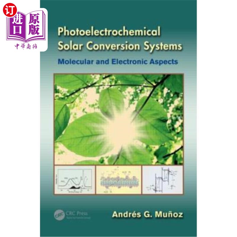 海外直订Photoelectrochemical Solar Conversion Systems: Molecular and Electronic Aspects 光电化学太阳能转换系统:分子