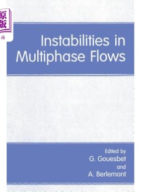 海外直订Instabilities in Multiphase Flows 多相流的不稳定性