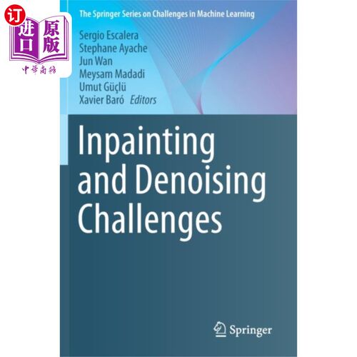 海外直订Inpainting and Denoising Challenges 油漆和去噪的挑战