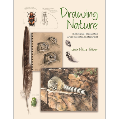 DrawingNature绘制自然Feltner