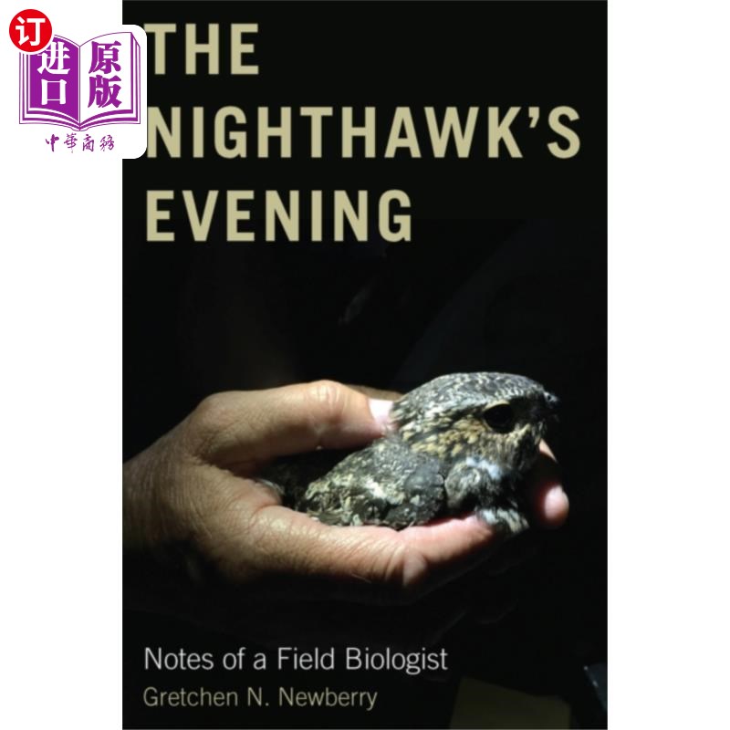 海外直订Nighthawk's Evening 夜鹰的晚上