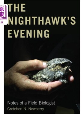 海外直订Nighthawk's Evening 夜鹰的晚上