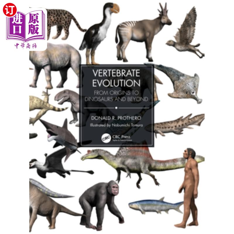 海外直订Vertebrate Evolution: From Origins to Dinosaurs and Beyond 脊椎动物进化:从起源到恐龙及以后